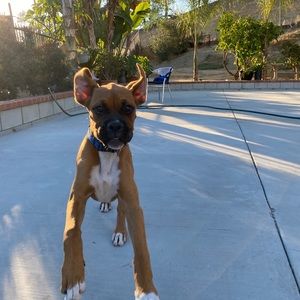 Meet your Posher, Katelyn